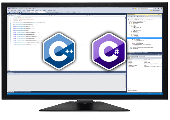 Working Screen Visual Studio